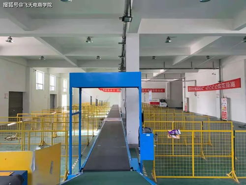 電商新引擎 千川團隊入駐湟源縣電子商務公共服務中心，開啟本地化培訓新篇章